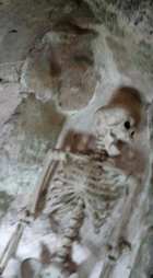 Chetumal skeleton (close up)